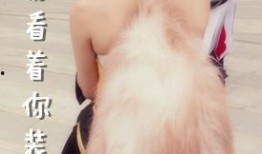 骚萌在线观看,一场青春校园的甜蜜邂逅